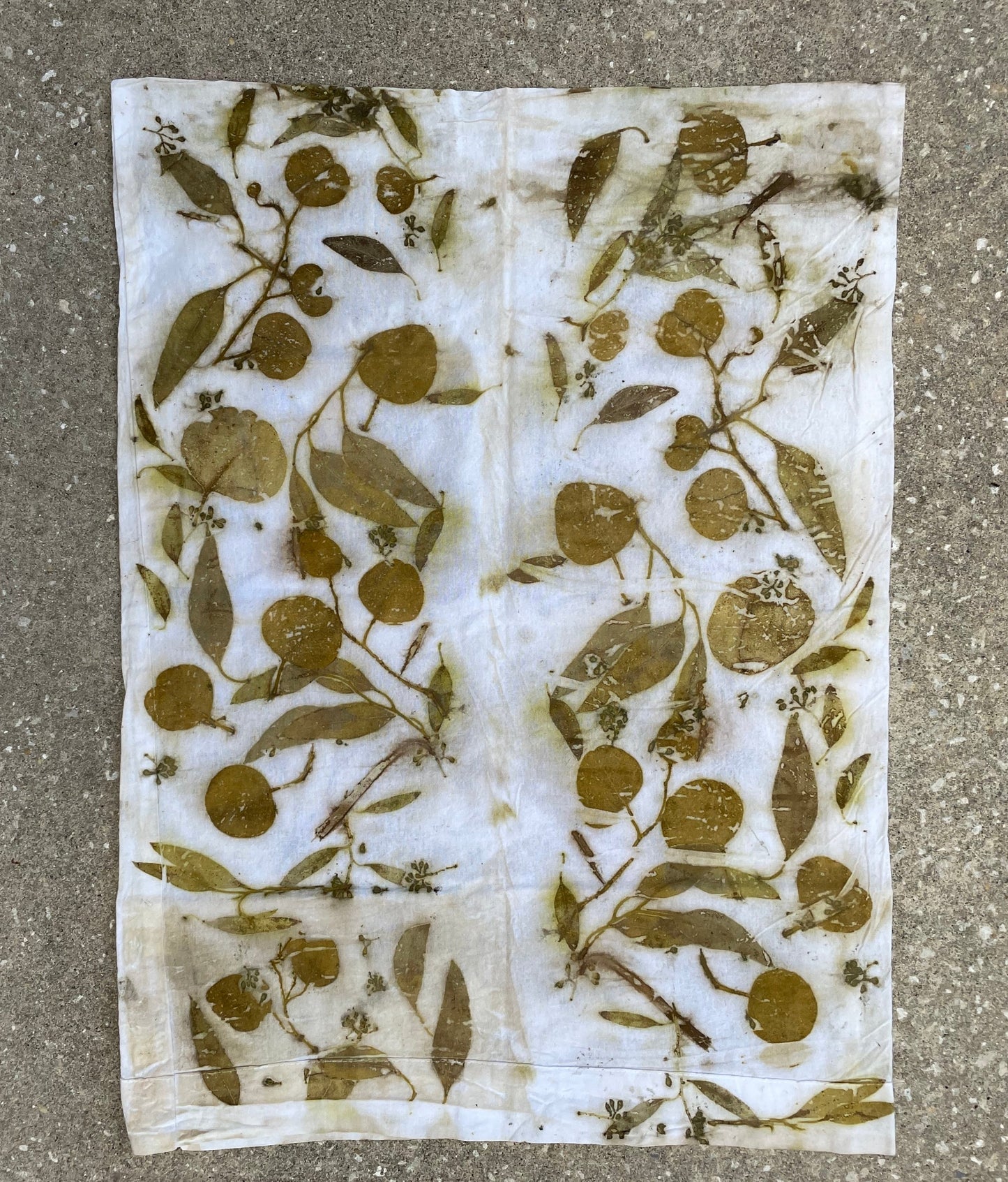 Simple EucalypTus Eco-PrinTed CoTTon Pillowcase